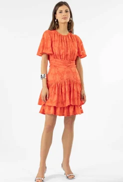 Robe IVY